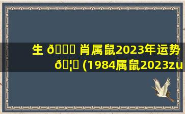 生 🐈 肖属鼠2023年运势 🦉 (1984属鼠2023zui
危险的一个月)